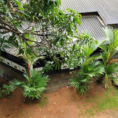 Green Bamboo House Сигирия Екстериор снимка
