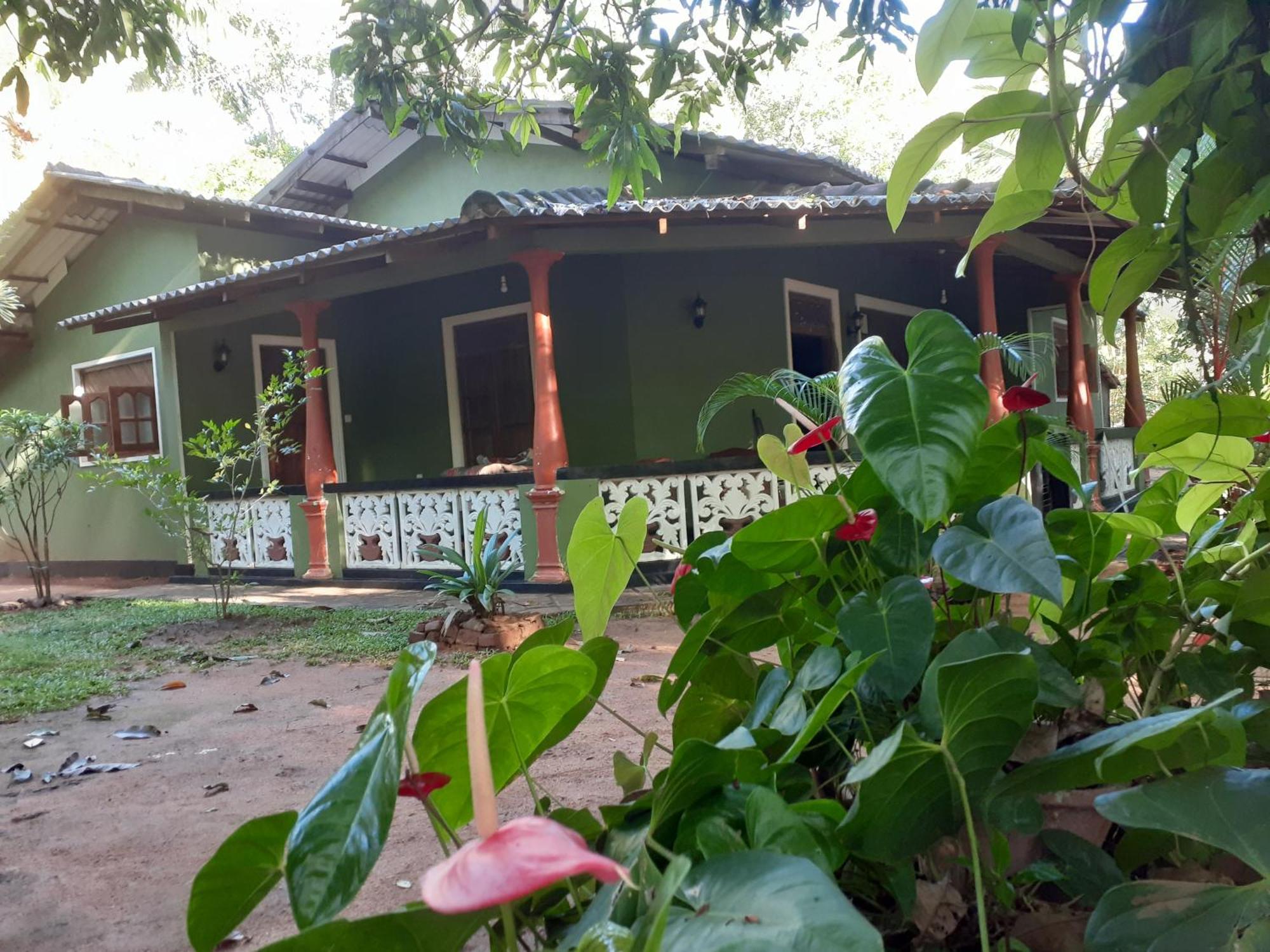 Green Bamboo House Сигирия Екстериор снимка