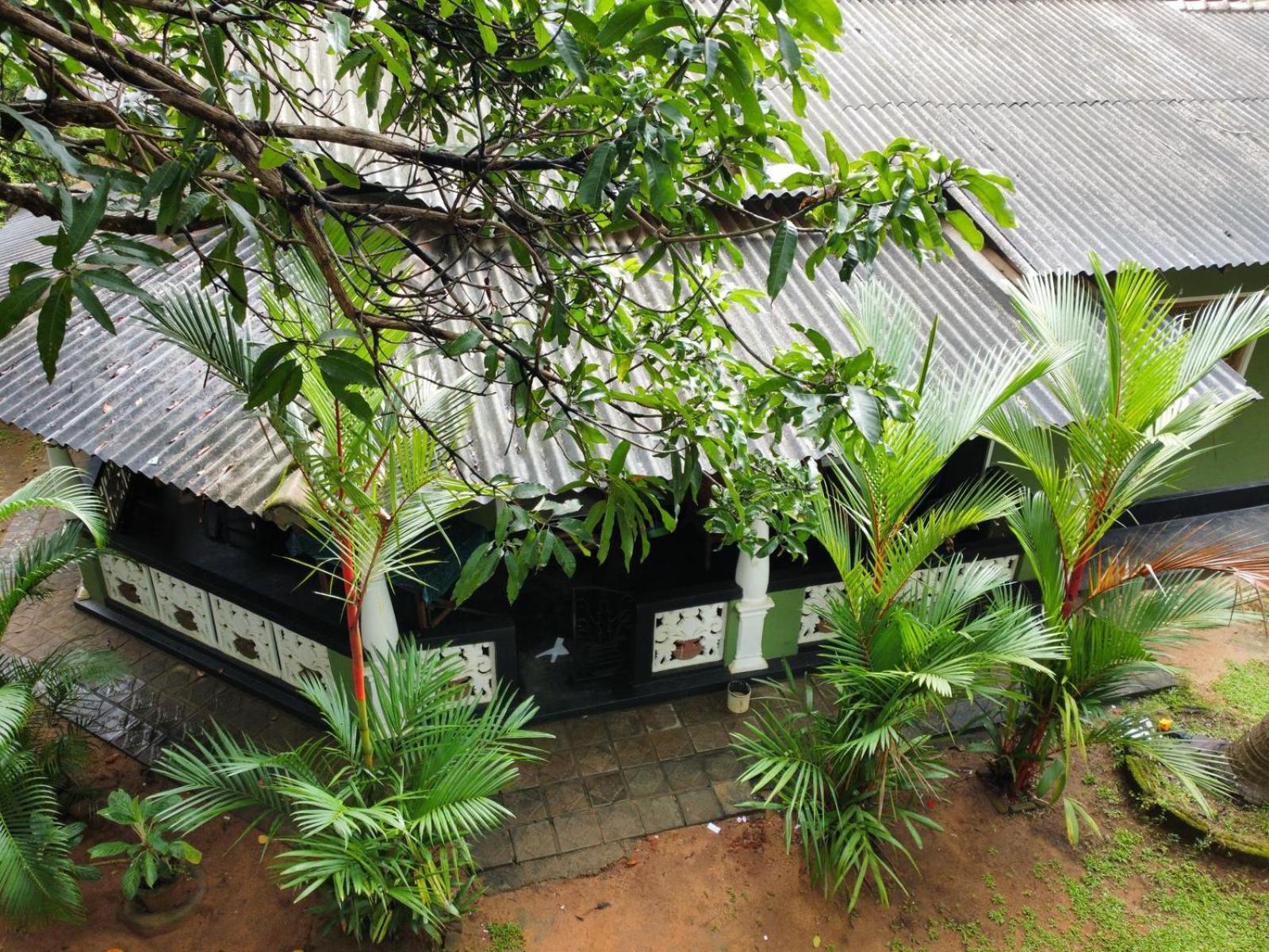 Green Bamboo House Сигирия Екстериор снимка