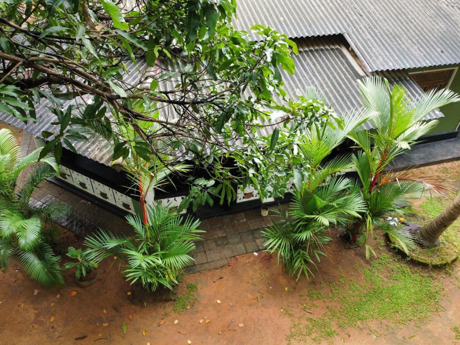 Green Bamboo House Сигирия Екстериор снимка