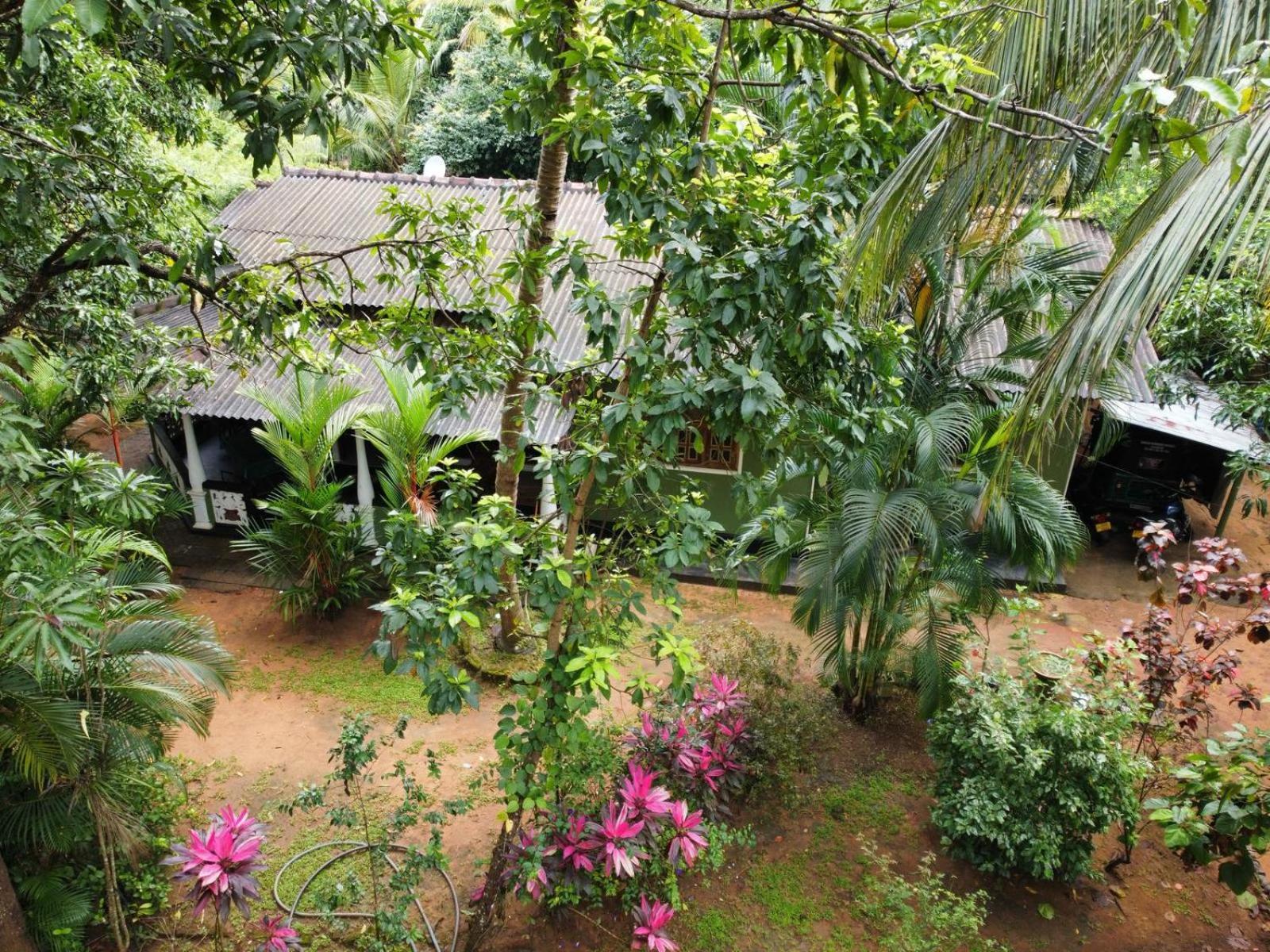 Green Bamboo House Сигирия Екстериор снимка